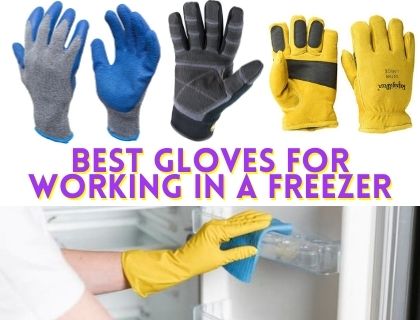 Best Gloves For Working in a Freezer