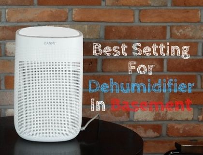 Best Setting For Dehumidifier In Basement