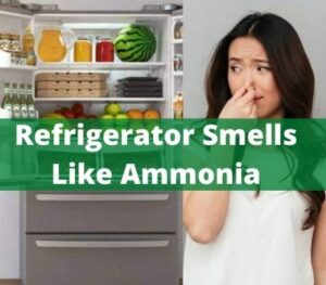 smells refrigerator